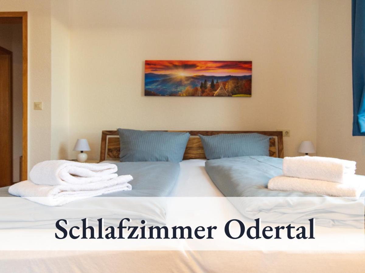 Haus An Der Skiwiese Braunlage Kültér fotó